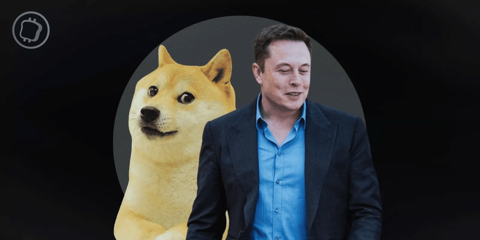 🔥😱 Dogecoin: Surprising Detail About Elon Musk's Dogecoin | Crypto