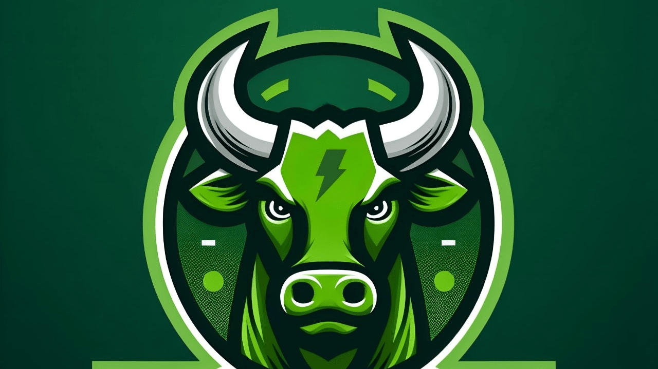 Bull Star Finance: Driving Joy and Social Development through ...