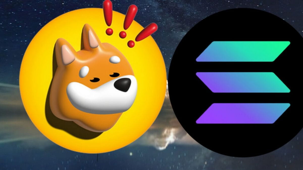 🔰 Can You Become a Millionaire With Just $1 in BONK | Mastering Crypto on  Binance Square