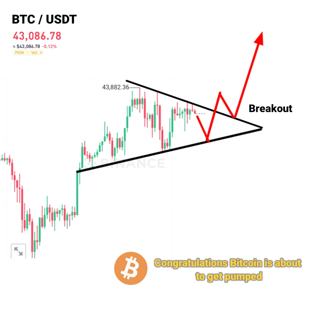 good-news-btc-is-going-to-be-pumped-if-you-want-su-a-charity