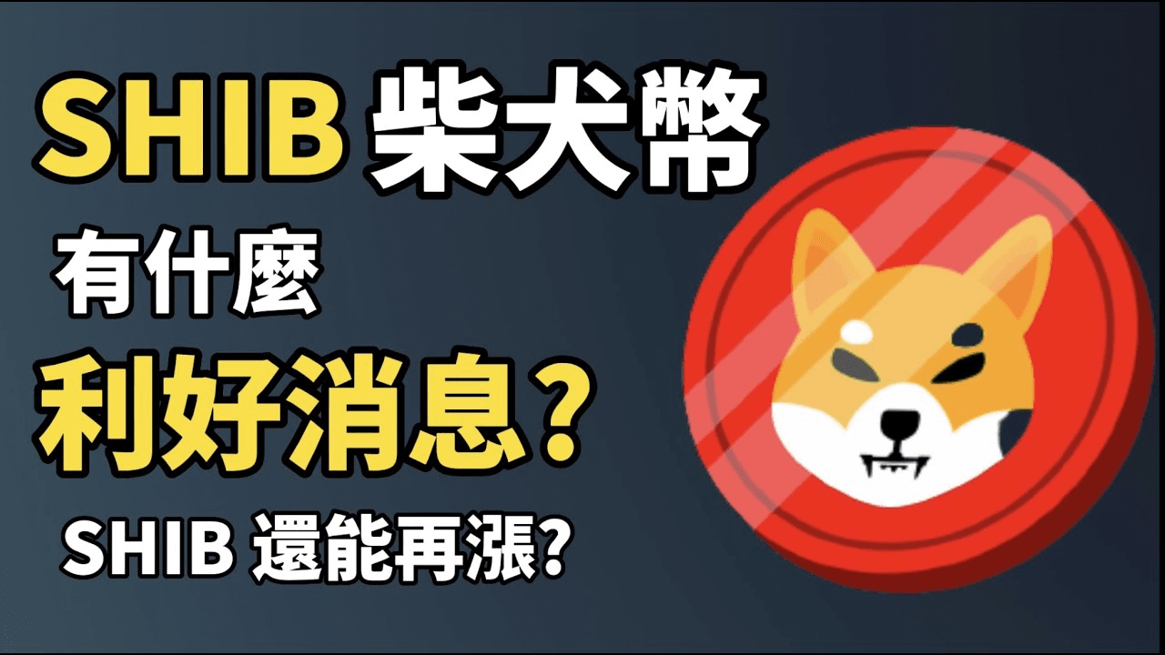 不玩了！！！不玩了！！！ 把柴犬统统扔进火里烧掉0.0001美元时代来临？ 柴犬社区烧毁SHIB：努力推动代币经济| 老李财经on Binance  Square