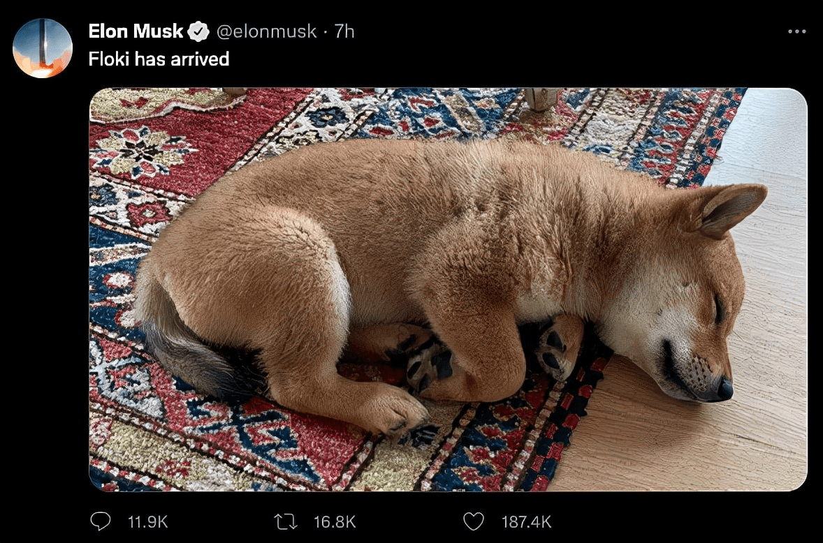 马斯克一出手，天下财富在手！马斯克爱宠Floki如何加冕成为MeMe新王？ | 加密小简på Binance Square