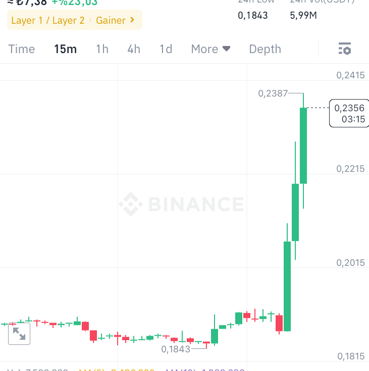 binance wallet tracker