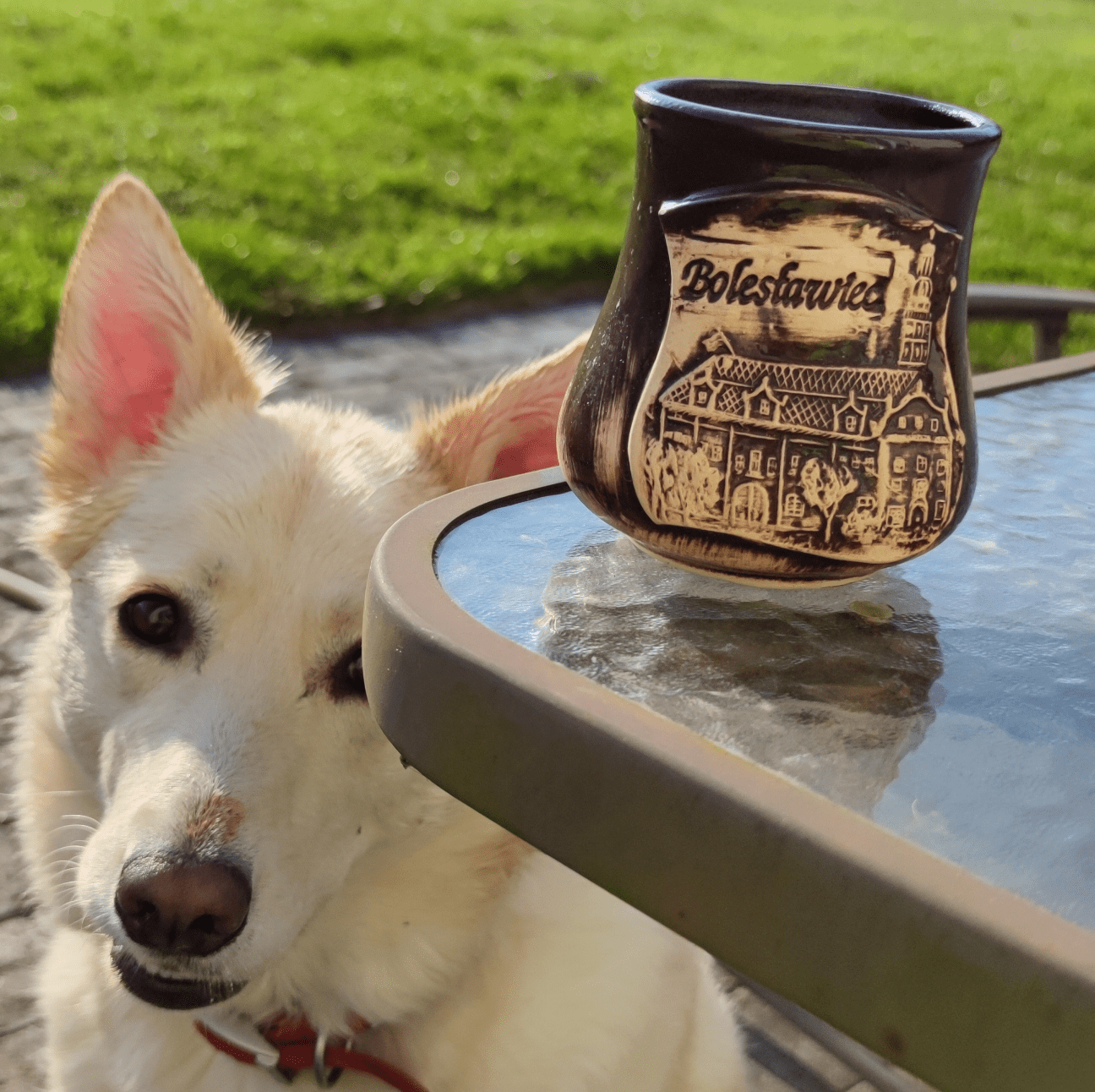 Dogecoin Price Can Touch $50, Shiba Inu Can Reach $1, And XRP Price Can  Rally To $100? Here Are T... | Blockonomi on Binance Square