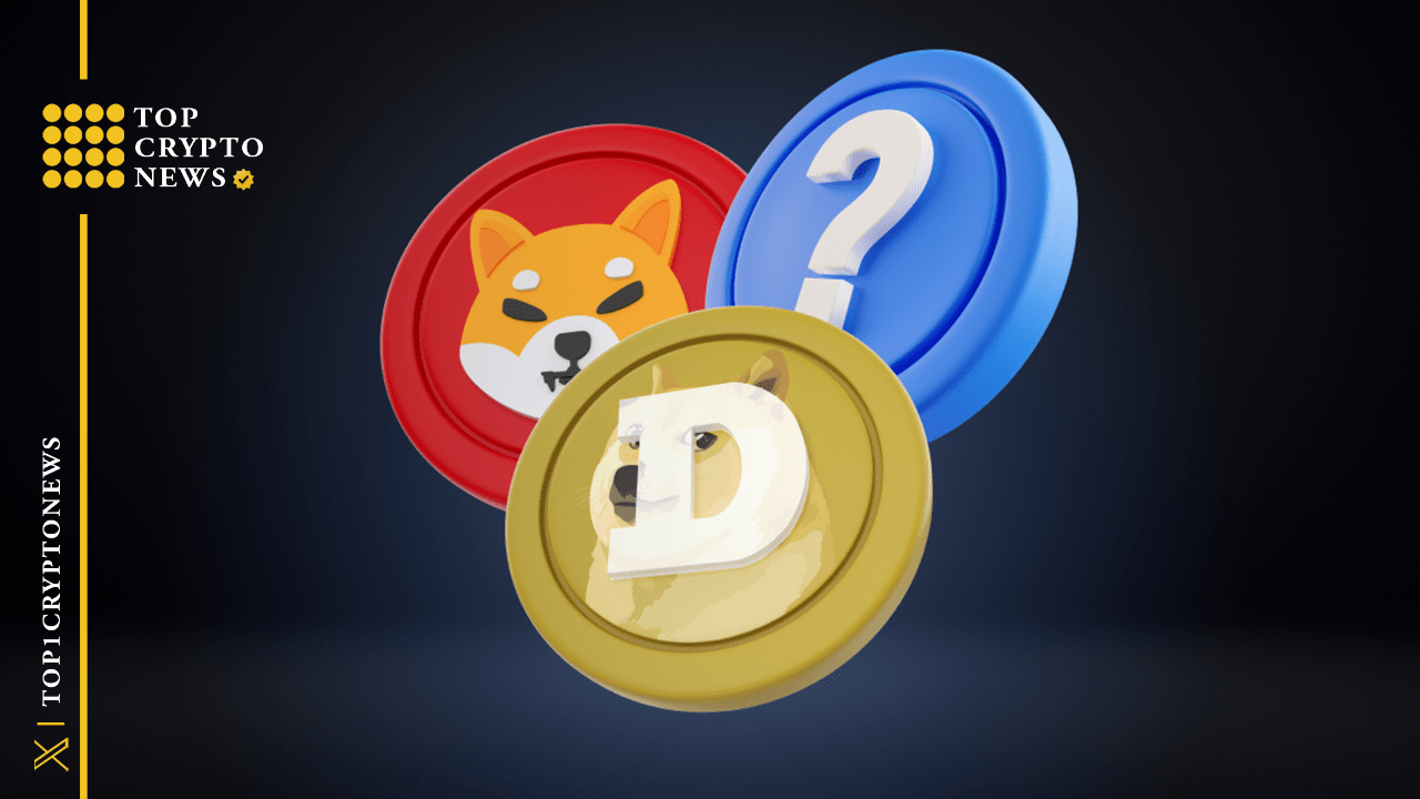 Sharp Program Coin Bitcoin and Meme Coins Face Sharp Declines | TopCryptoNews on Binance ...