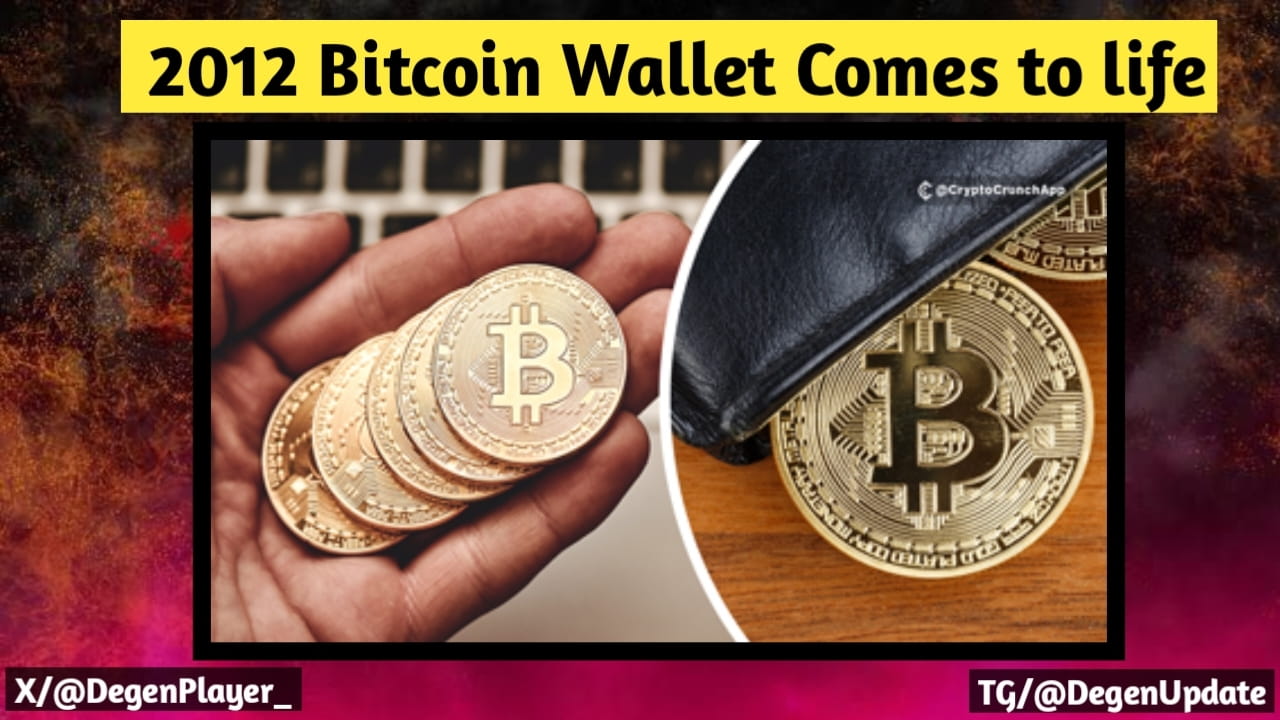 𝗟𝗔𝗧𝗘𝗦𝗧: 𝟮𝟬𝟭𝟮 𝗕𝗶𝘁𝗰𝗼𝗶𝗻 𝗪𝗮𝗹𝗹𝗲𝘁 | Degan Players on  Binance Square