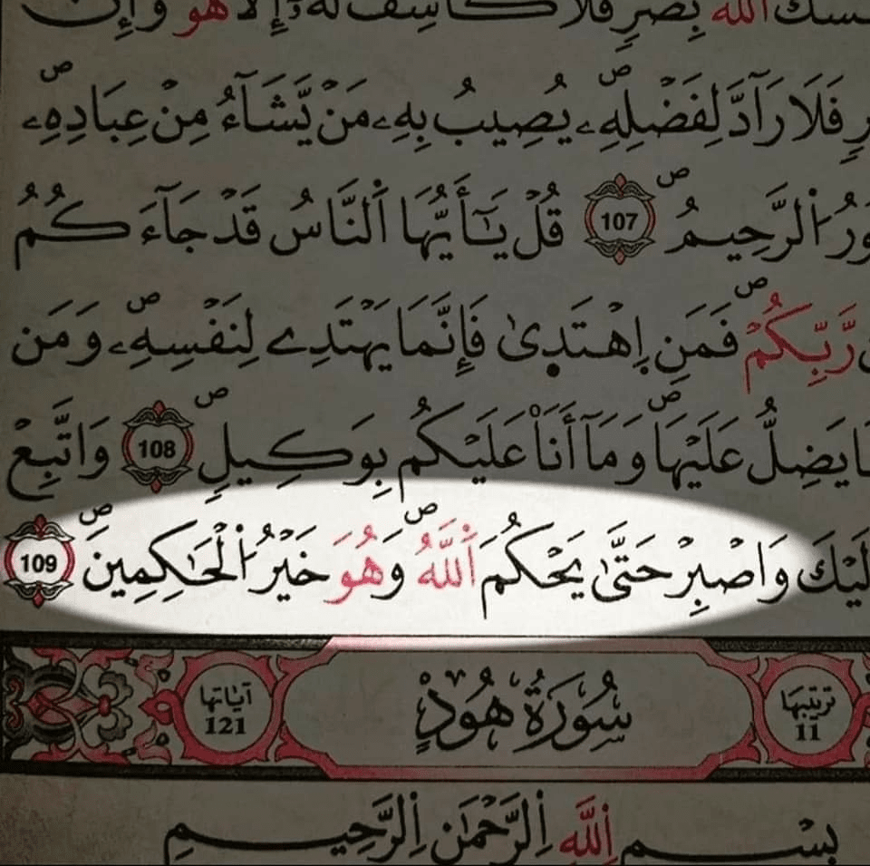 Perfil De Al Zahraa Binance Square