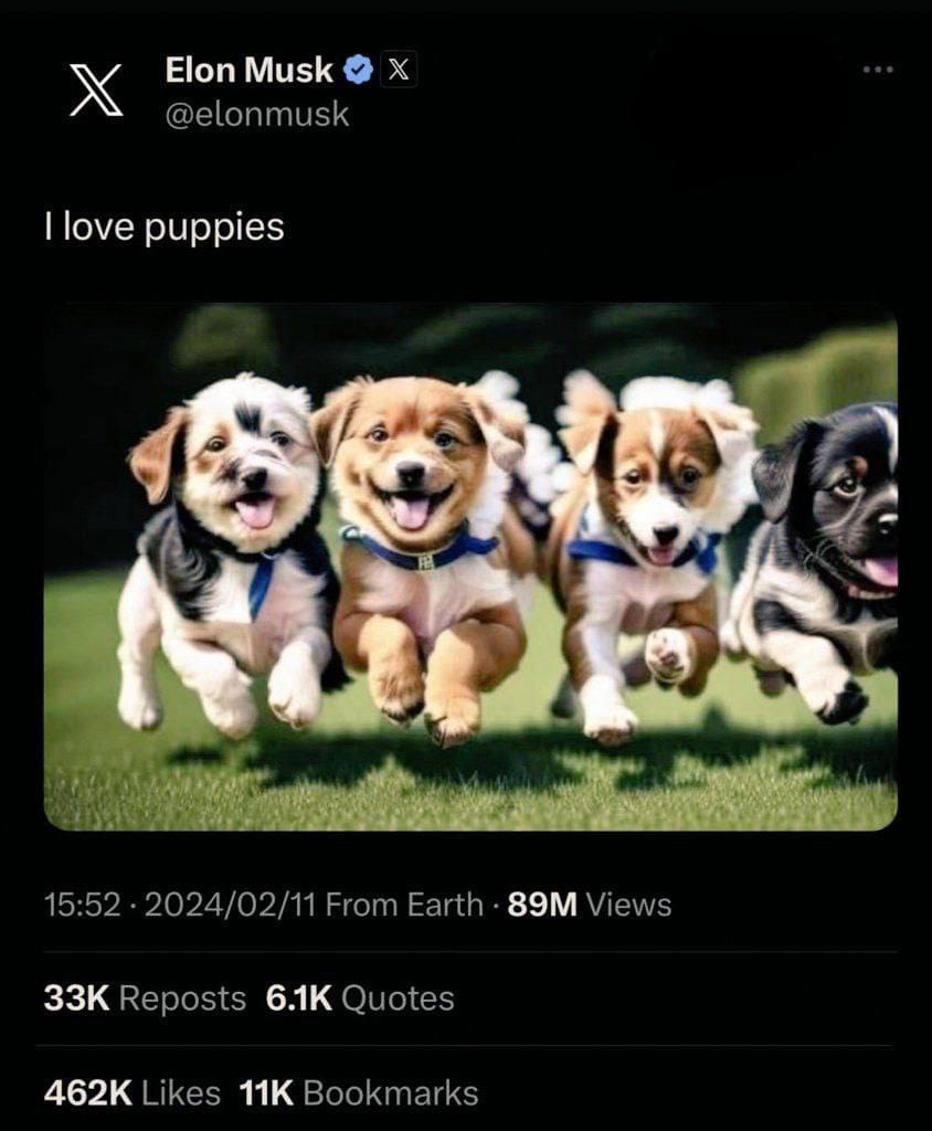 PUPPIES=DOGE+SHIB+FLOKI+BABYDOGE Musk tweeted I love puppies | winwin金狗 on  Binance Square