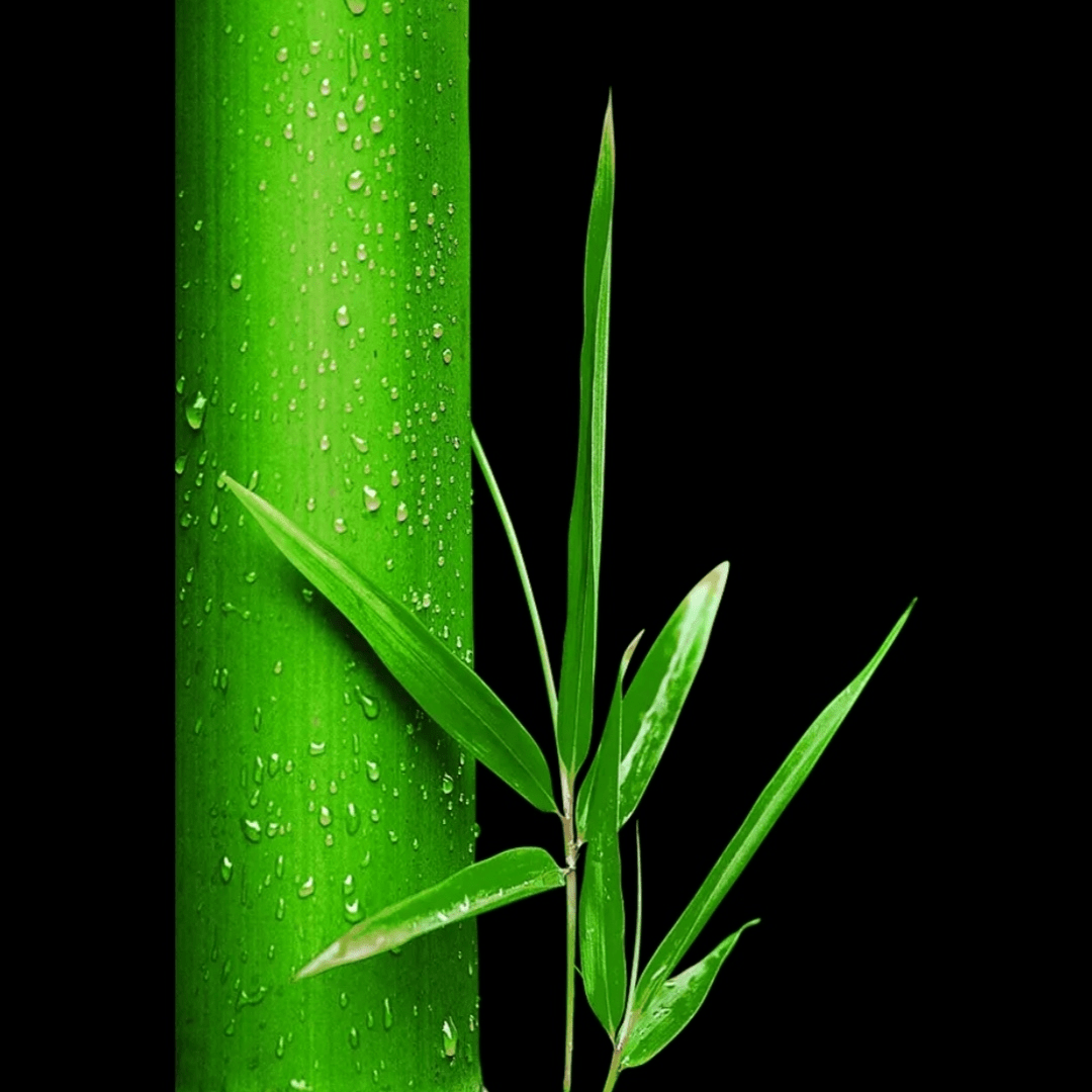 God s Profile god-s-profile