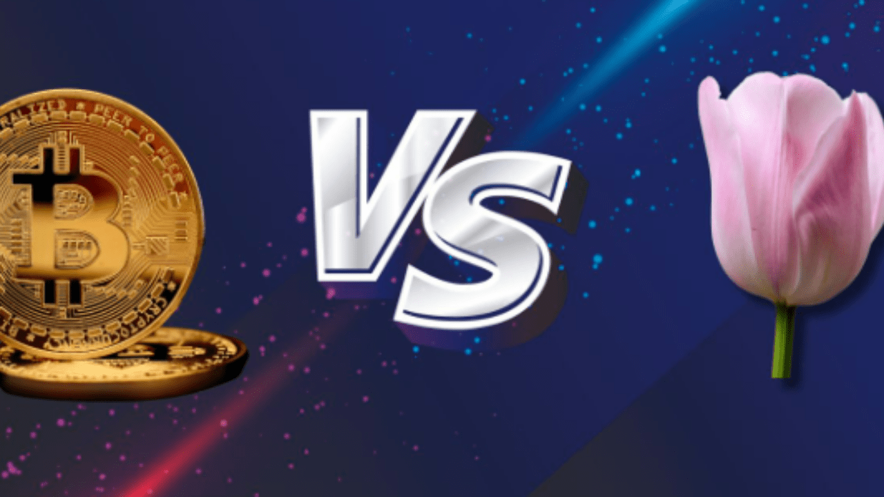 比特币可能是互联网时代的“郁金香” | 王叔-注意识别本人发布于币安广场