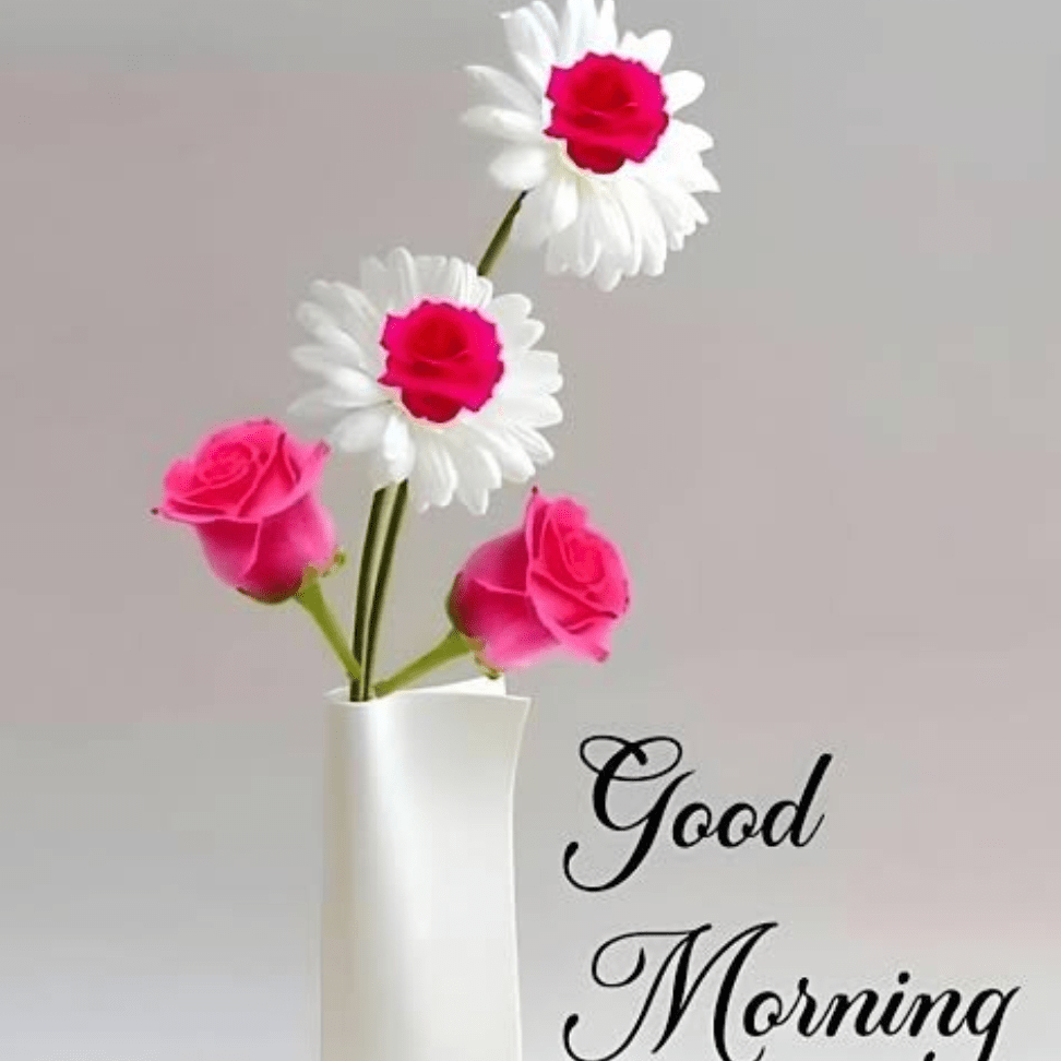 Discover the latest opinions posted by Square-Creator-2d992d81dd323e514fa7....