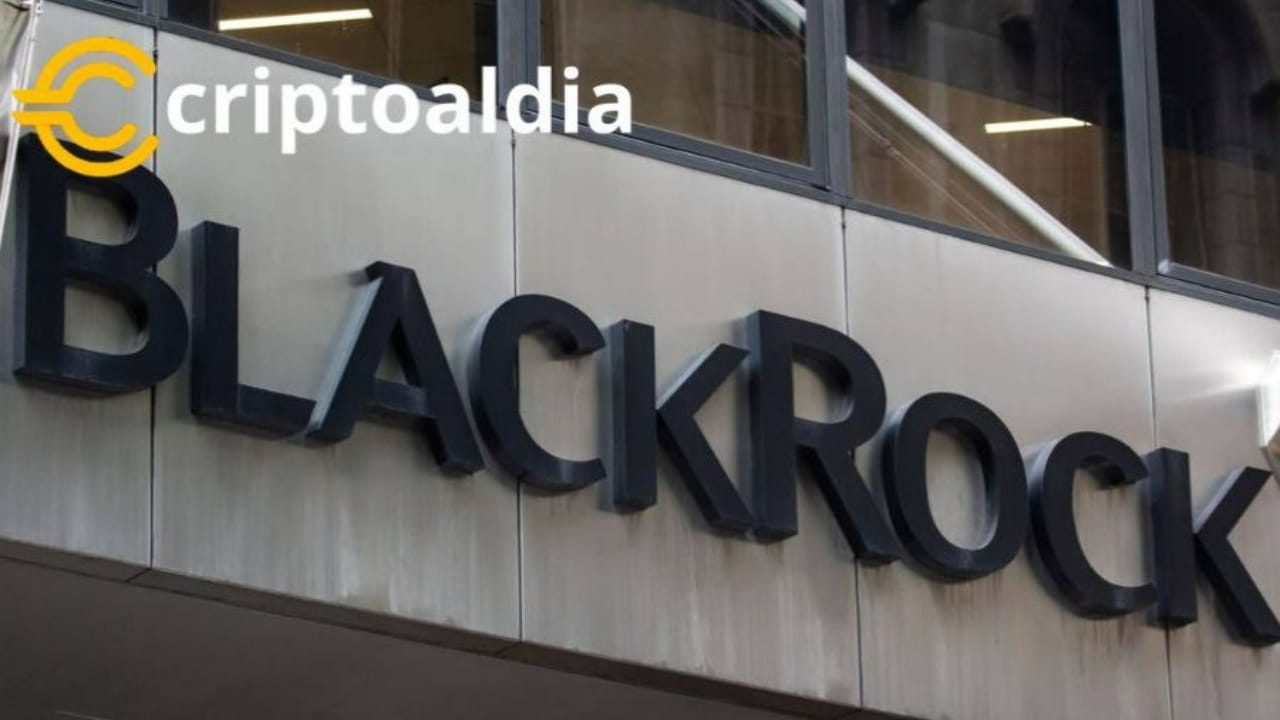 BlackRock visual data 7