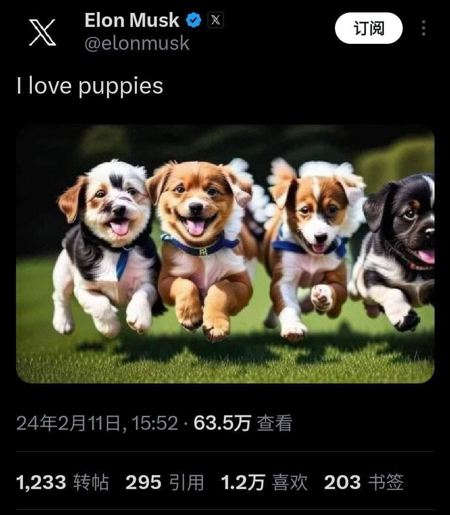 puppies币是马斯克的下一个10亿币的个人资料| 币安广场