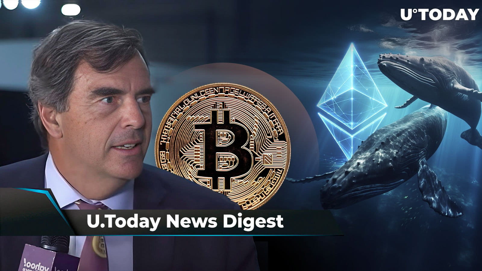 Tim Draper provoca retorno de 10 anos em sua aposta épica no BTC, aparece  um surpreendente indicador de longo prazo da ETH,... | U.today no Binance  Square