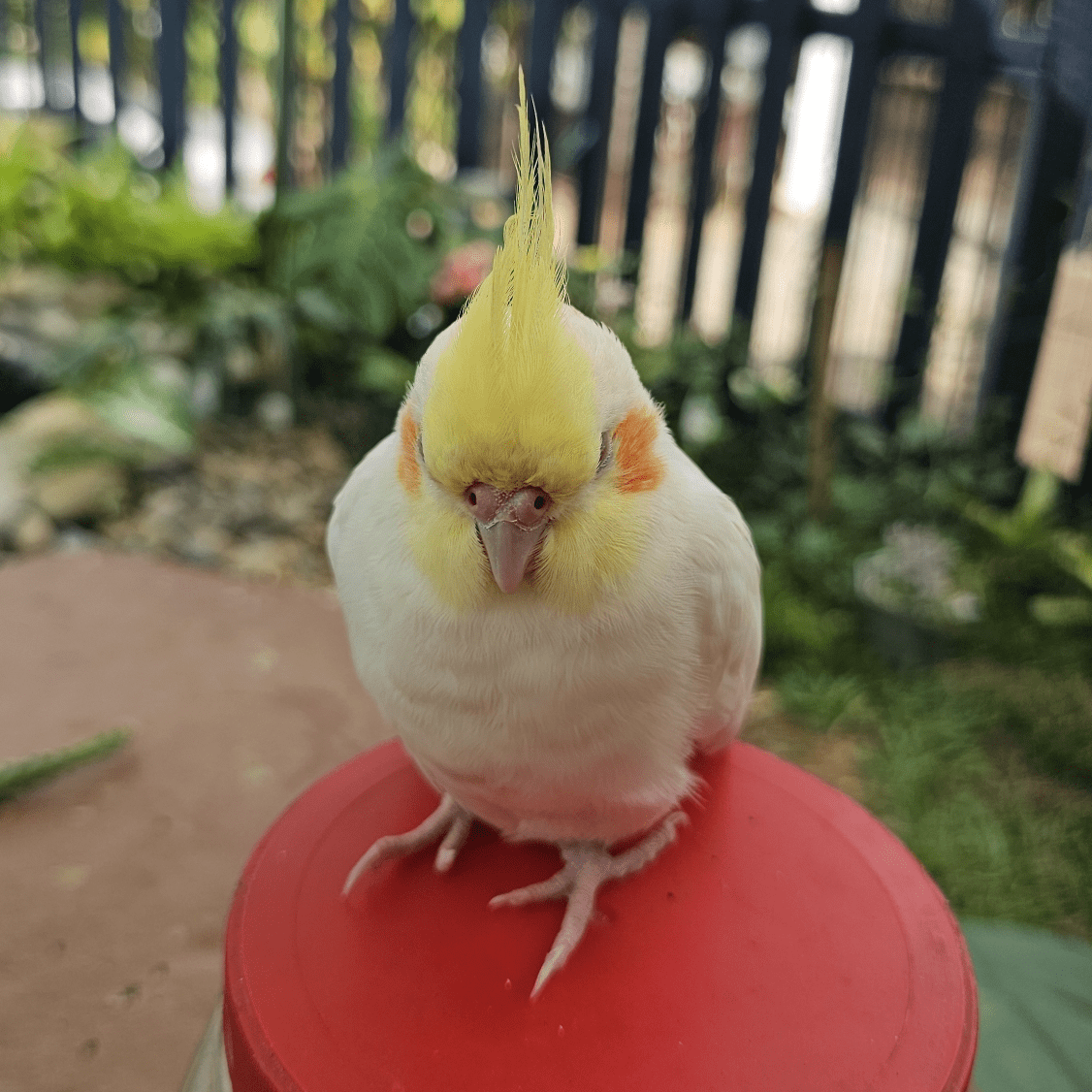 哥伦比亚人现在可以在币安上用比索(COP) 购买USDT | Binance Blog发布于币安广场