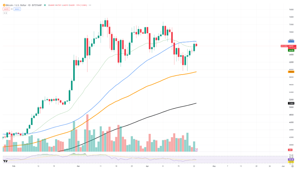 Here's Why Bitcoin Fees Exploding After Halving. Bitcoin's | Crypto ...