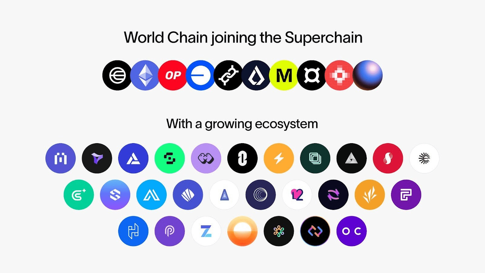 what is the biggest chain in the world