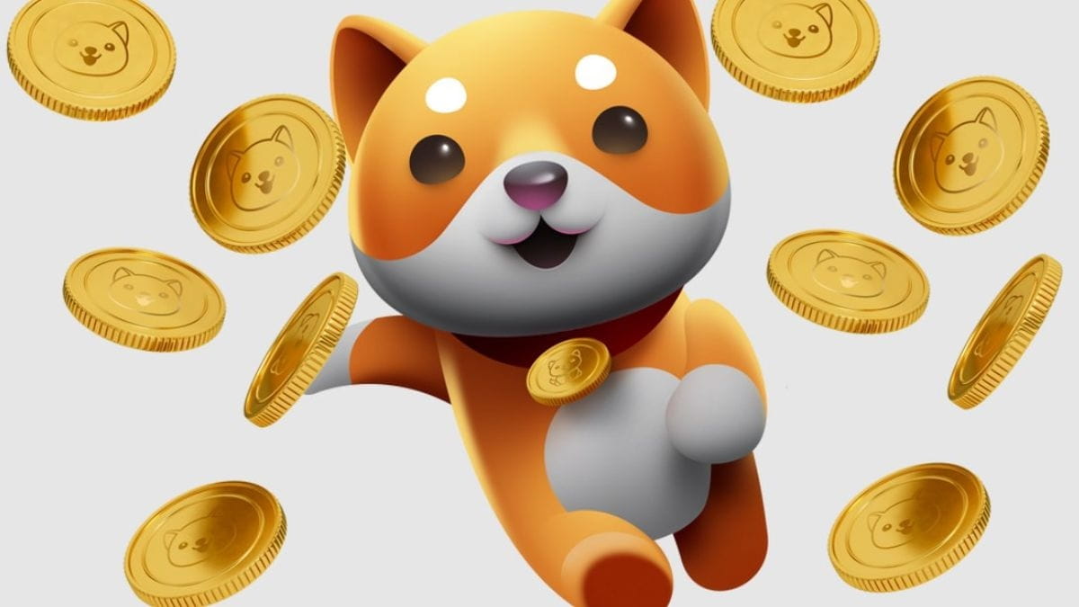 Baby Doge has learned a few tricks and lessons from his meme | Safiullah  110 on Binance Square