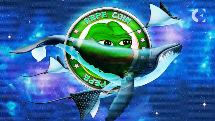 🔥🐳 Pepe Could Gain 51% As Whale Wins $5.56 Million Worth O | blogtienso ...