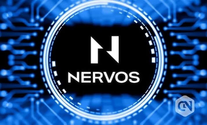 nervo net worth - Ilustrasi 2