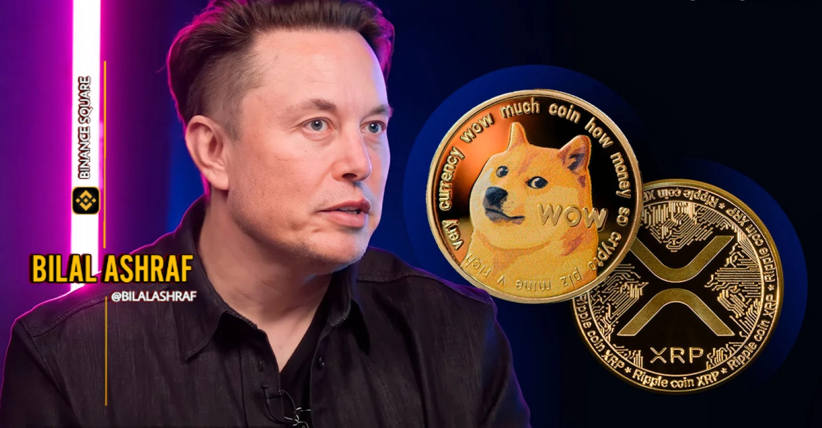 Il grido di Elon Musk alla moneta meme di Solana Dogwifhat innesca il rally  dei prezzi del WIF | Bitcoin Hodler su Binance Square