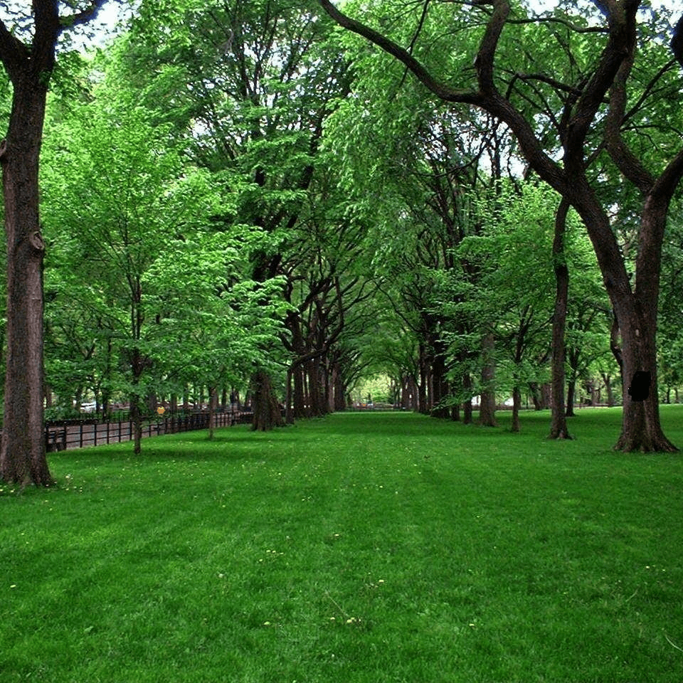 紛失したビットコインはどうなりますか? | Cointelegraph － Binance Square