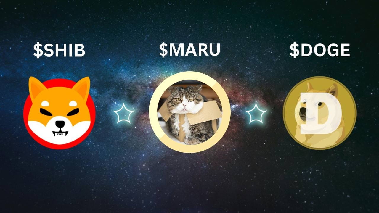 强烈推荐的一个炒meme神器》 有一段没有来更新了，其实一个重要原因是沉迷在炒Meme当中，这个周期已经明显变成了| 土澳大狮兄-被迫暴富2026版no