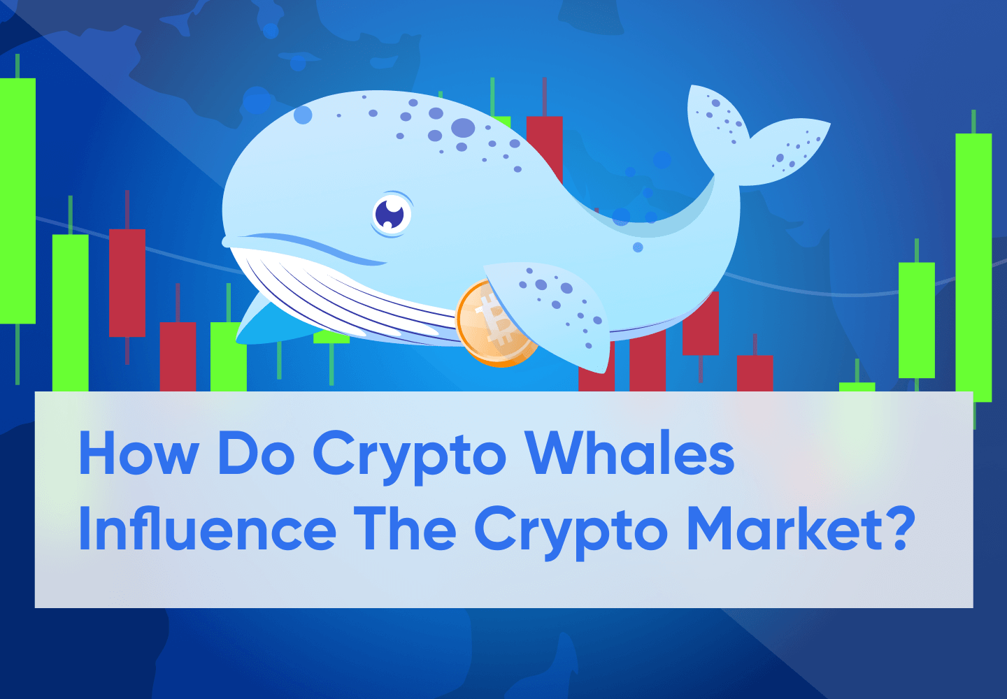 What Is a Crypto Whale and How Do They Affect Crypto Markets? | Don Pablx  on Binance Square