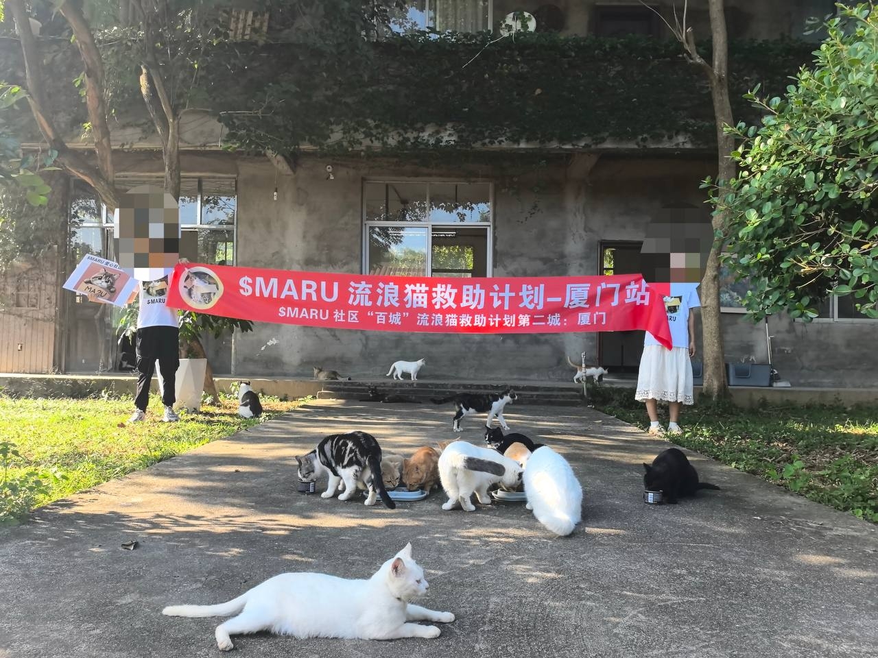 World Chain is online. Is it a new chain carnival or a flash in the pan?  The pitfalls and opportunities behind the memecoin craze | MarsBit News on  Binance Square