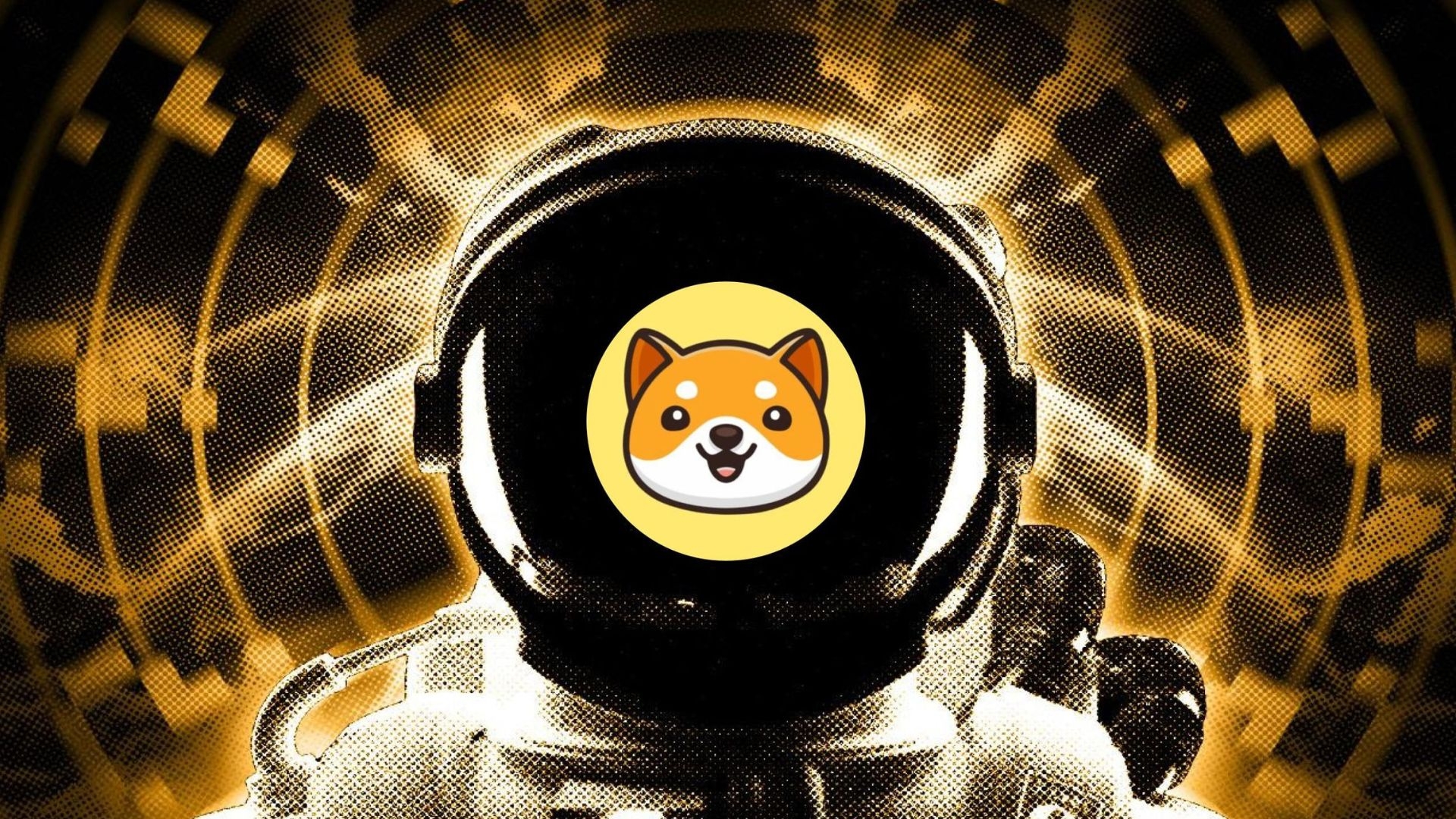 Tính năng nổi bật của Baby Doge Coin