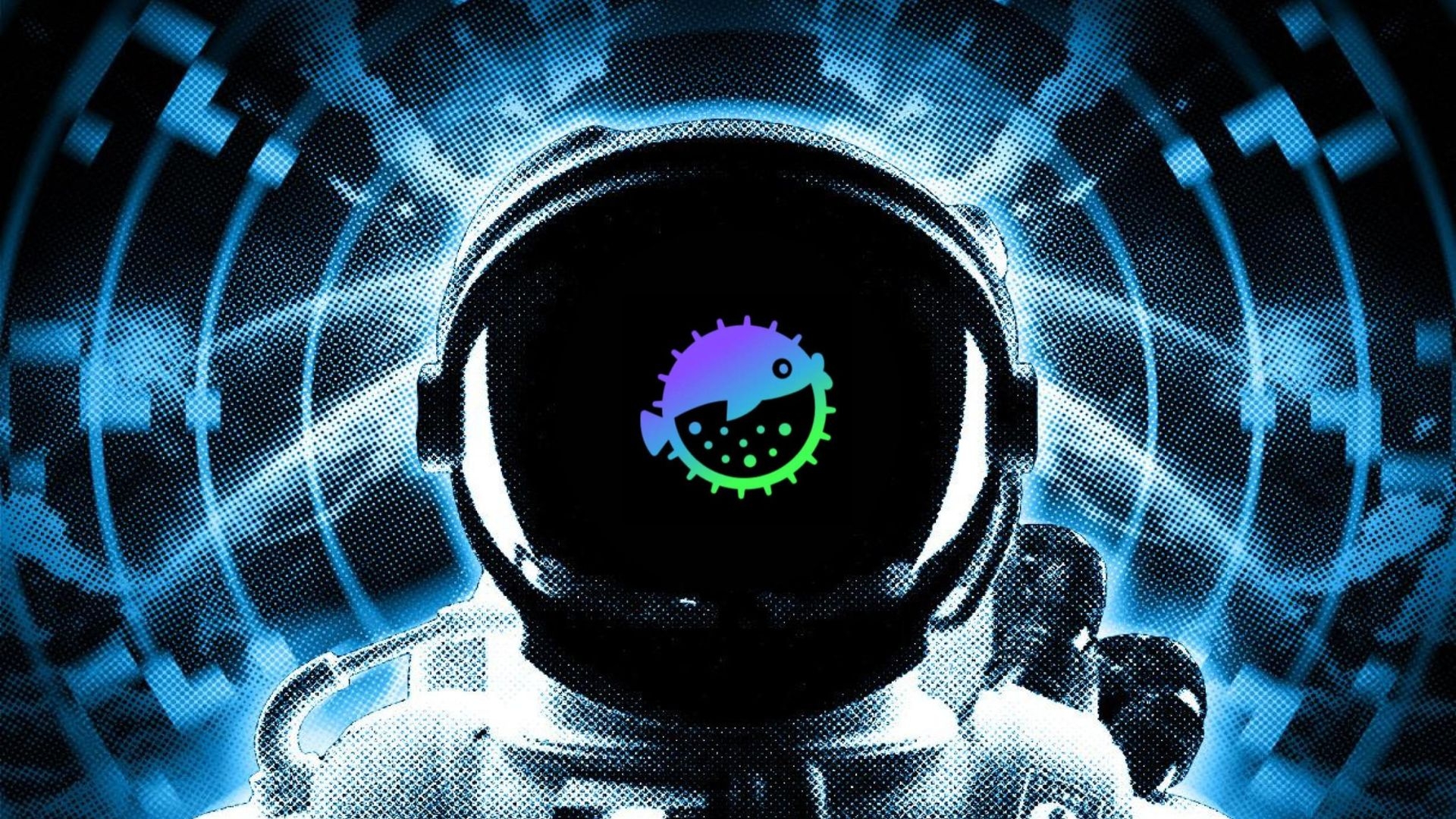 Puffer Finance sở hữu những điểm nổi bật đáng chú ý