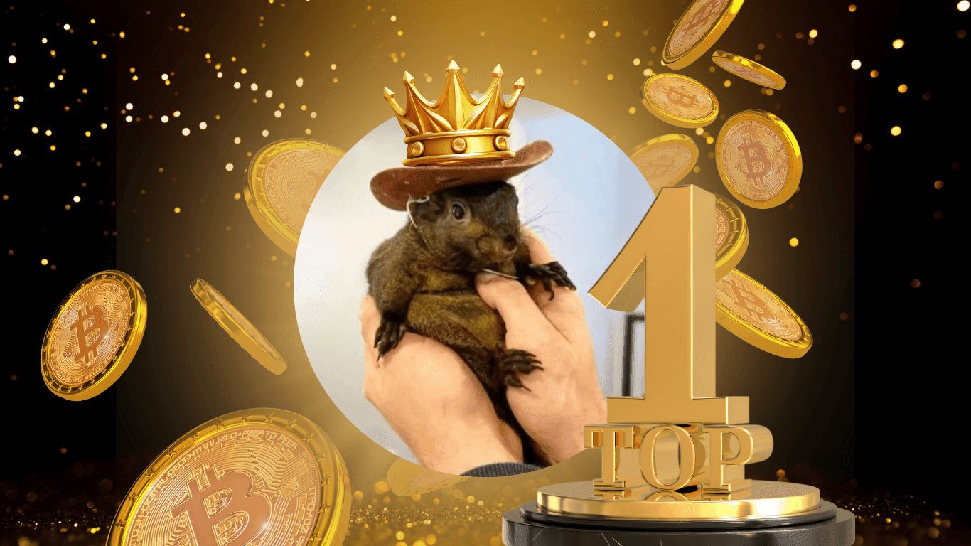 What is Peanut the Squirrel (PNUT)? All Detailed Information About the  Project (2025) | henvaibta on Binance Square