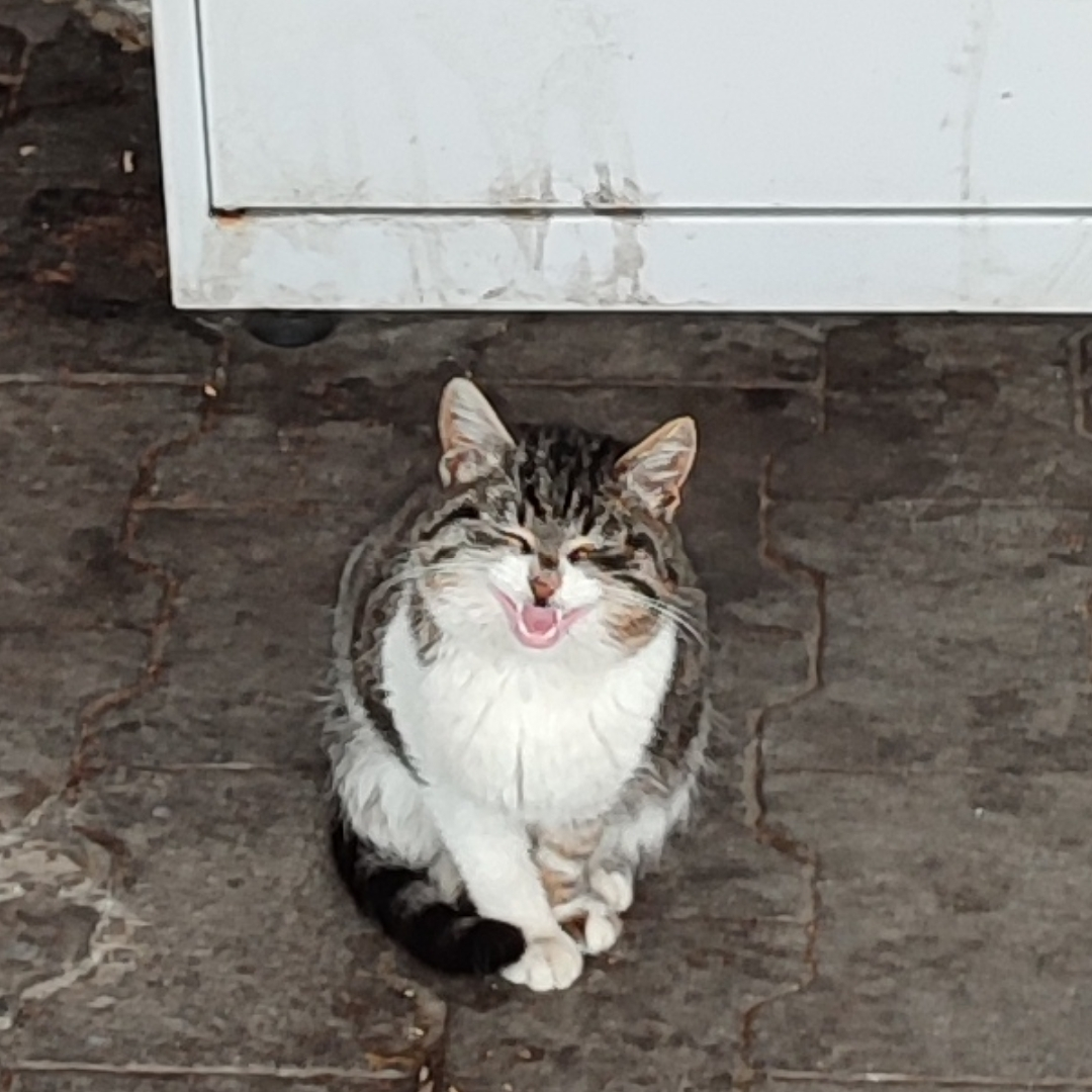 Cryptocurrency Mining Will Be Easier in 2025: LZMiner Launches Best Free  Bitcoin (BTC) and Dogeco... | Crypto Daily™ على Binance Square