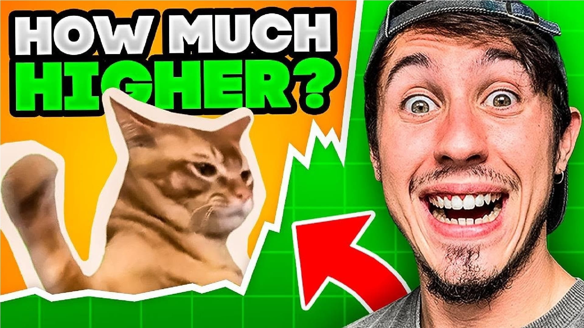 Prévision de prix du meme coin Catslap – Le $SLAP continuera-t-il sa  tendance à la hausse ? | InsideBitcoins sur Binance Square