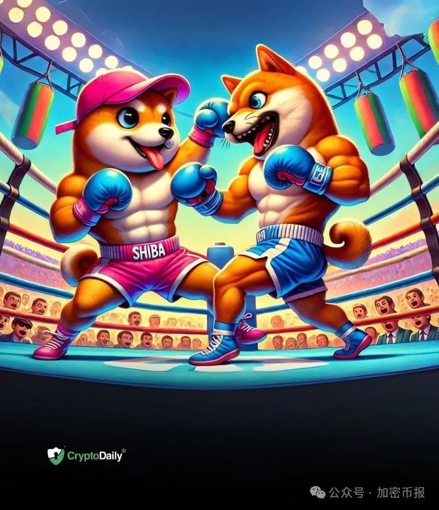 Memecoin Craze: $WIF vs $BONK – The Most Mature and Promising Meme Tokens  on $SOL | 币富日记-HTXD928 on Binance Square