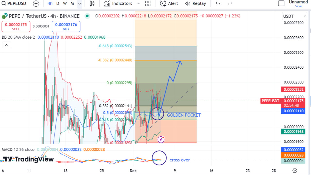 Pepe Coin Signal | Crypto novice on Binance Square