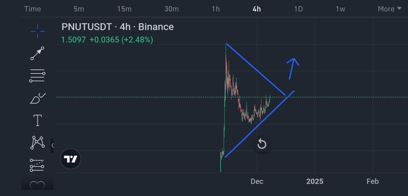 PNUT/USDT币种分析及现状| King of Shadow 发布于币安广场