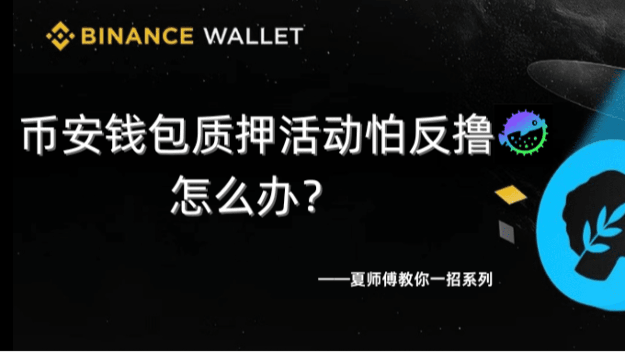 What to do if you're afraid of being 'rug pulled' in the Binance wallet ...