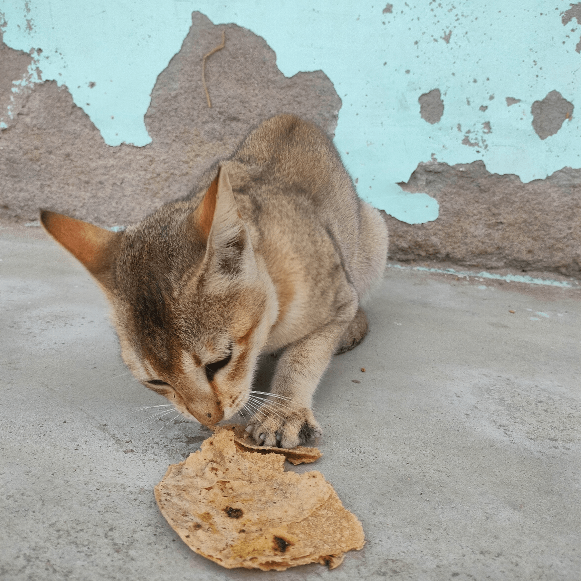 Markettips S Profile Binance Square