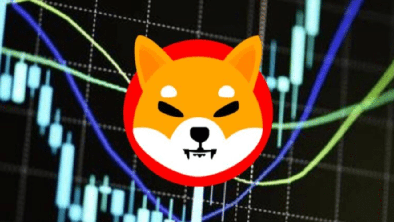 Elon Musk’s Grok Says SHIB Will Trade At This Price On January 31, 2025