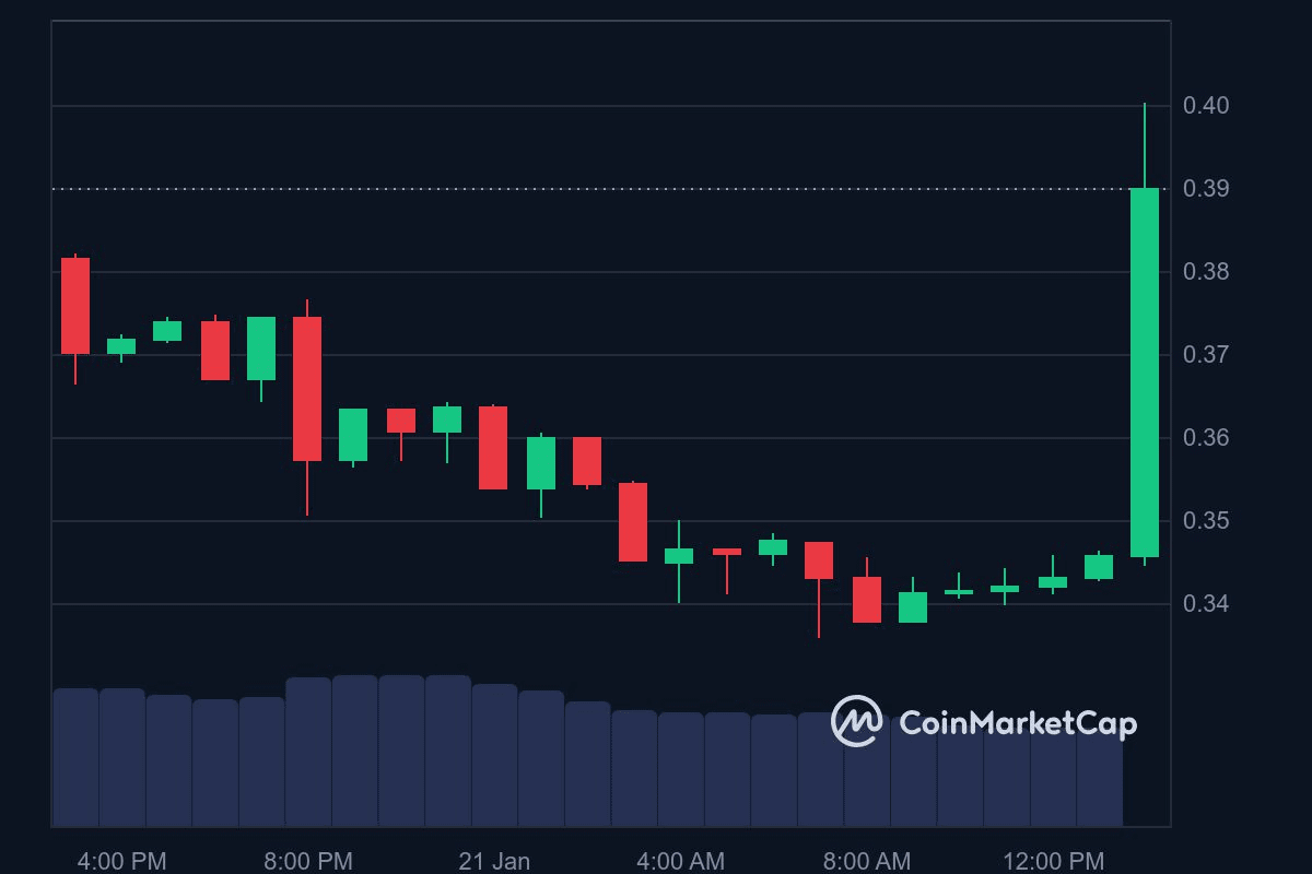 Dogecoin Soars As Department of Government Efficiency (D.O.G.E) Gets Logo |  blogtienso on Binance Square
