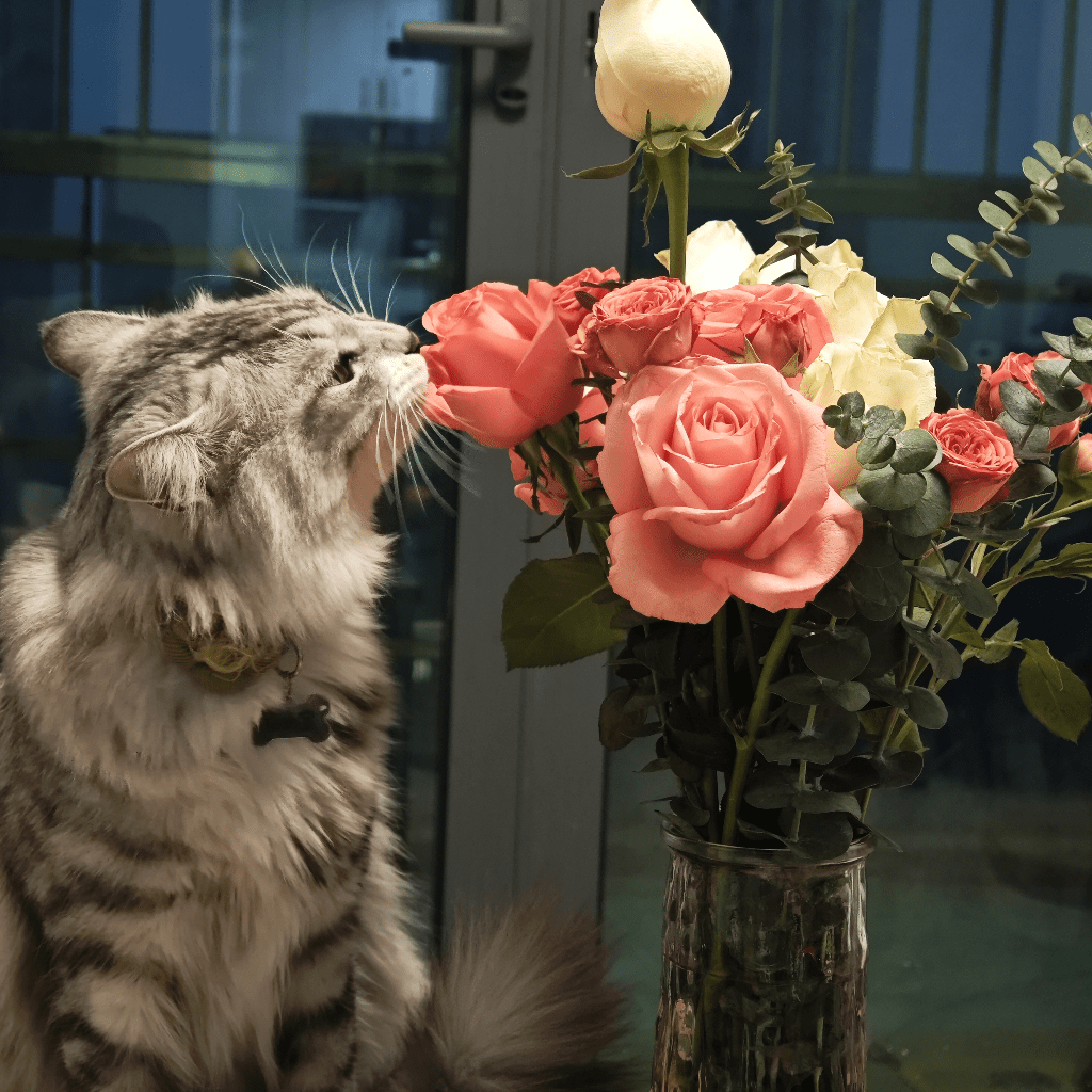 使用币安和欧易等平台进行加密货币交易的风险。以下是文章的主要内容： 一、法律说“可以”，但又不完全可以？ 合法持有？YE | 把爪拿开发布于币安广场