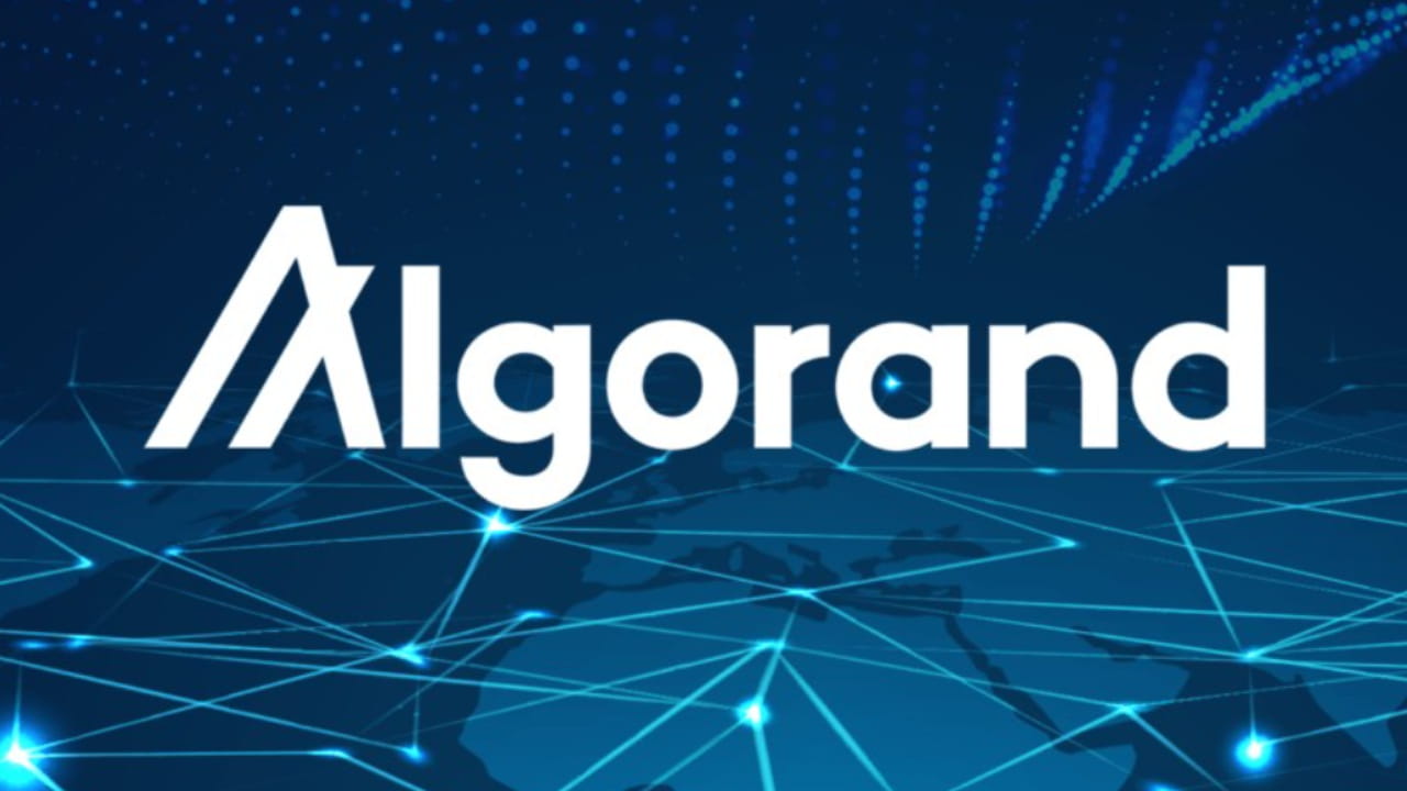 ALGO : The Next Crypto GIANT Hiding in Plain Sight?! | Cryptolinhio on  Binance Square