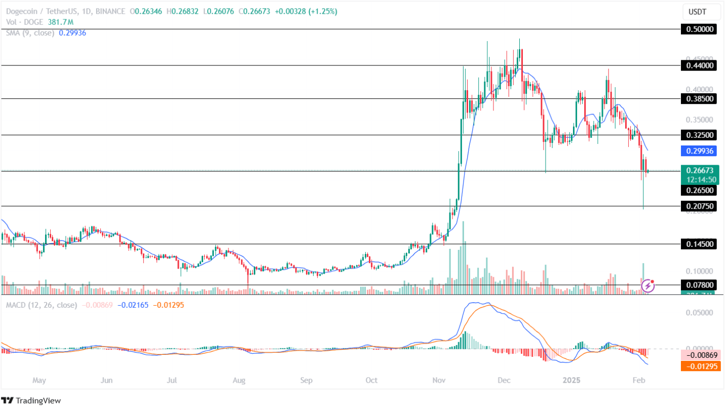Dogecoin Price Analysis: Will DOGE Recover After Market Volatility? |  blogtienso on Binance Square