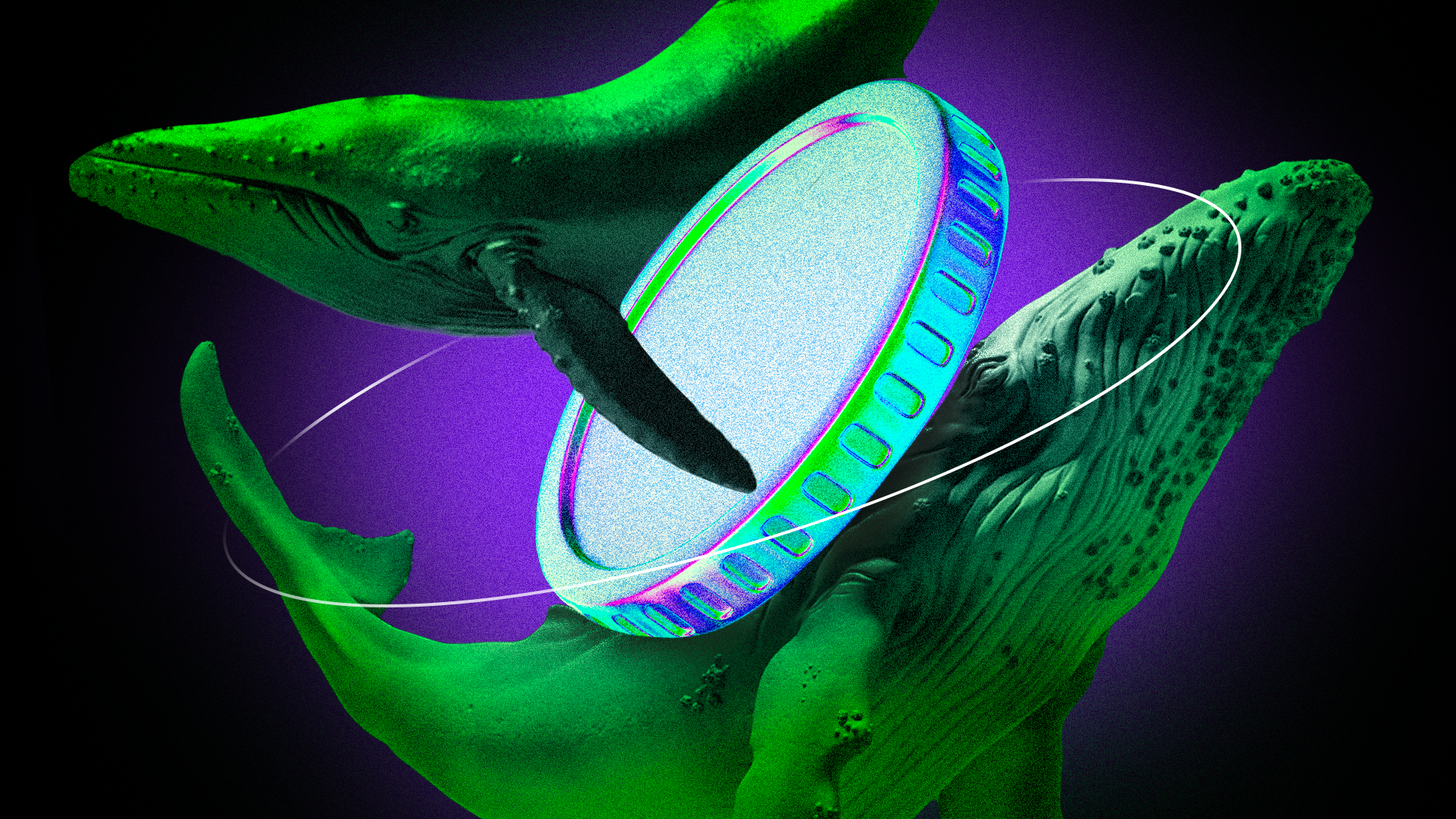 Crypto Whales Bought These Altcoins This Week | BeInCrypto Brasil on  Binance Square