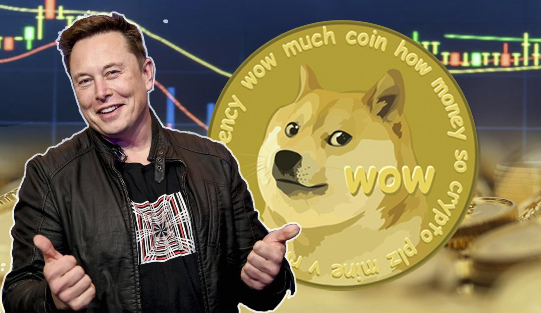 Can dogecoin reach $1 (84) foto
