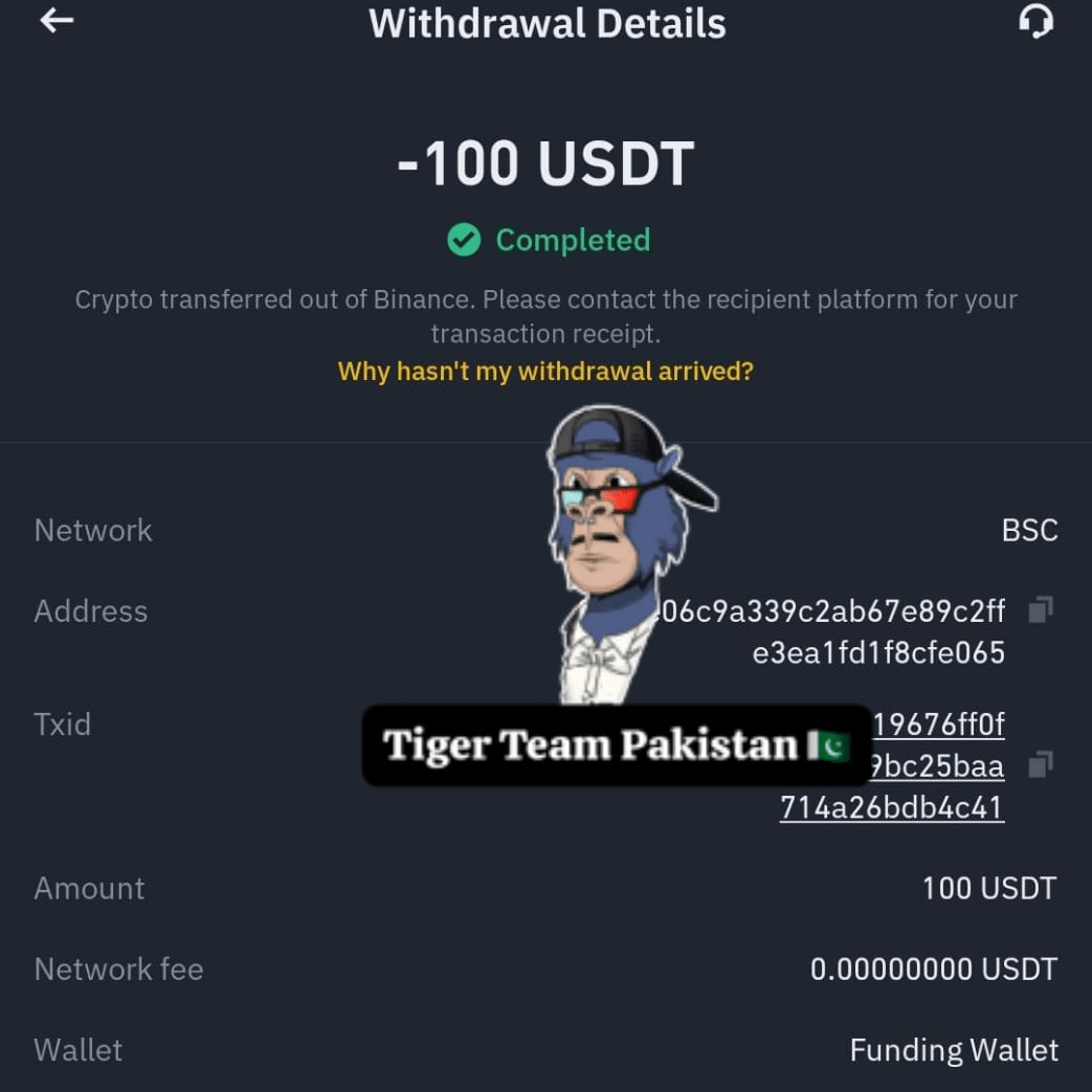 Latest #bsctradingtips News, Opinions and Feed Today | Binance Square