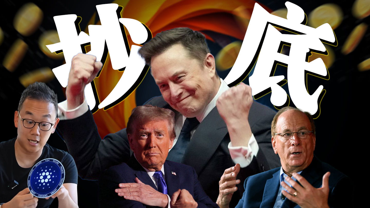 Desesperado? Rumores: ¡Bitcoin subirá al cielo el 7 de marzo! ¿Qué monedas  puedes invertir ahora para volverte rico? ¡Estas dos monedas recibirán  grandes beneficios! ¿Se ha escapado el gran tiburón Spoofy? ¡El