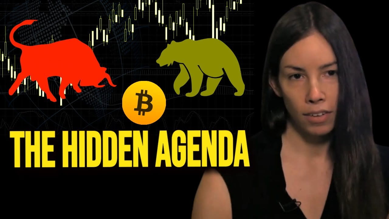 What They Don't Want You to Know - Lyn Alden Exposes the Truth