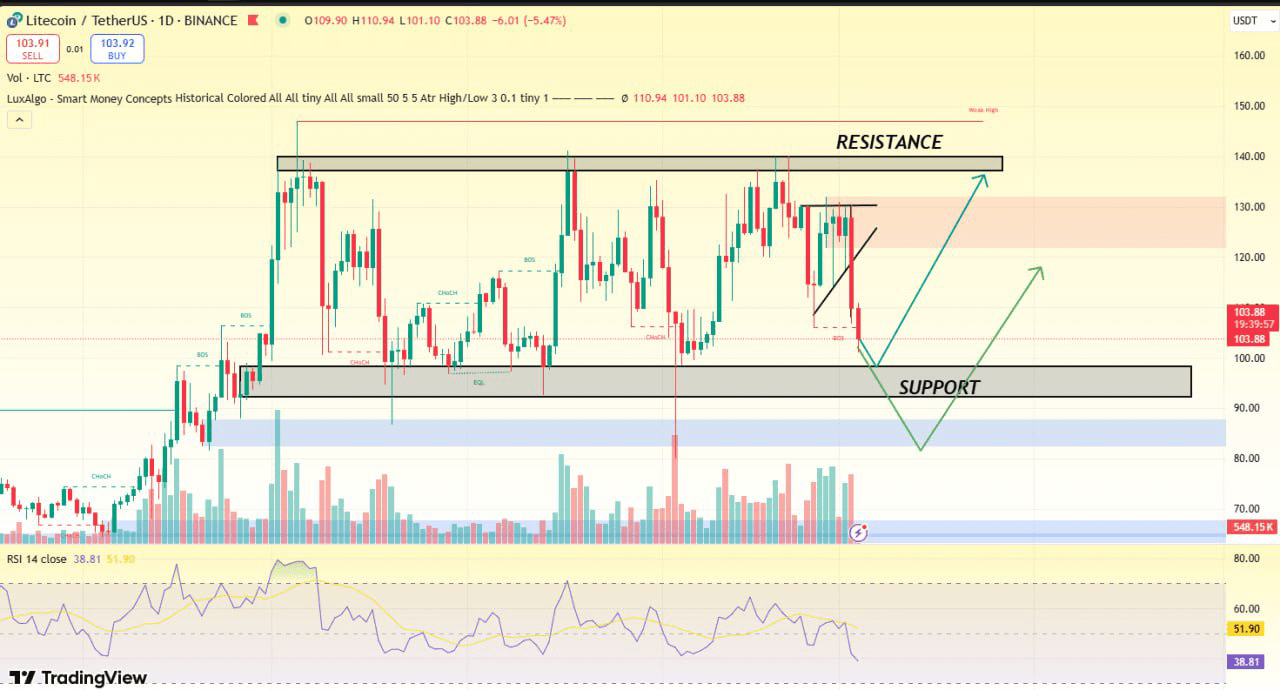 LTCアップデート: | Bit Bull － Binance Square